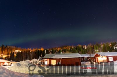 Nordlicht
auf der suche nach dem Polarlicht Aurora Borealis
Schlüsselwörter: Nordland;Norwegen;Schweden;Dänemark;Aurora Borealis;Trondheim;Tromsö;Umea;Mo I Rana;Polarkreis;Arctic Circle;Nordkap: Bergen