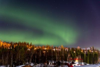Nordlicht
auf der suche nach dem Polarlicht Aurora Borealis
Schlüsselwörter: Nordland;Norwegen;Schweden;Dänemark;Aurora Borealis;Trondheim;Tromsö;Umea;Mo I Rana;Polarkreis;Arctic Circle;Nordkap: Bergen
