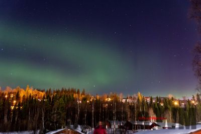 Nordlicht
auf der suche nach dem Polarlicht Aurora Borealis
Schlüsselwörter: Nordland;Norwegen;Schweden;Dänemark;Aurora Borealis;Trondheim;Tromsö;Umea;Mo I Rana;Polarkreis;Arctic Circle;Nordkap: Bergen