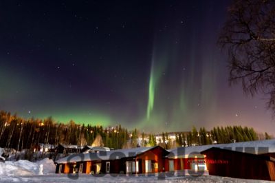Nordlicht
auf der suche nach dem Polarlicht Aurora Borealis
Schlüsselwörter: Nordland;Norwegen;Schweden;Dänemark;Aurora Borealis;Trondheim;Tromsö;Umea;Mo I Rana;Polarkreis;Arctic Circle;Nordkap: Bergen