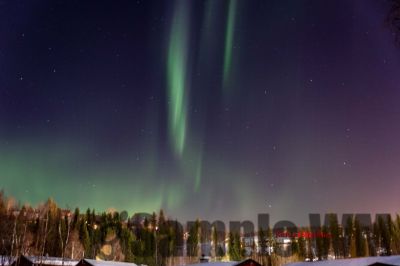 Nordlicht
auf der suche nach dem Polarlicht Aurora Borealis
Schlüsselwörter: Nordland;Norwegen;Schweden;Dänemark;Aurora Borealis;Trondheim;Tromsö;Umea;Mo I Rana;Polarkreis;Arctic Circle;Nordkap: Bergen