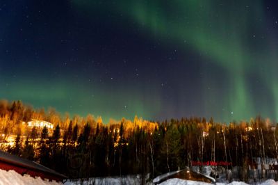 Nordlicht
auf der suche nach dem Polarlicht Aurora Borealis
Schlüsselwörter: Nordland;Norwegen;Schweden;Dänemark;Aurora Borealis;Trondheim;Tromsö;Umea;Mo I Rana;Polarkreis;Arctic Circle;Nordkap: Bergen