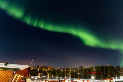 Nordlicht
auf der suche nach dem Polarlicht Aurora Borealis
Schlüsselwörter: Nordland;Norwegen;Schweden;Dänemark;Aurora Borealis;Trondheim;Tromsö;Umea;Mo I Rana;Polarkreis;Arctic Circle;Nordkap: Bergen