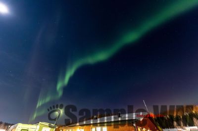 Nordlicht
auf der suche nach dem Polarlicht Aurora Borealis
Schlüsselwörter: Nordland;Norwegen;Schweden;Dänemark;Aurora Borealis;Trondheim;Tromsö;Umea;Mo I Rana;Polarkreis;Arctic Circle;Nordkap: Bergen