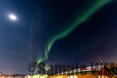 Nordlicht
auf der suche nach dem Polarlicht Aurora Borealis
Schlüsselwörter: Nordland;Norwegen;Schweden;Dänemark;Aurora Borealis;Trondheim;Tromsö;Umea;Mo I Rana;Polarkreis;Arctic Circle;Nordkap: Bergen
