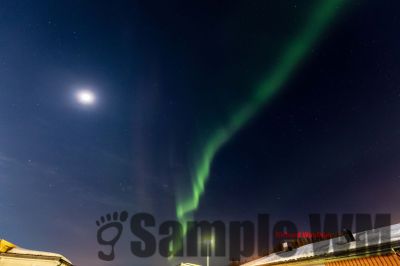 Nordlicht
auf der suche nach dem Polarlicht Aurora Borealis
Schlüsselwörter: Nordland;Norwegen;Schweden;Dänemark;Aurora Borealis;Trondheim;Tromsö;Umea;Mo I Rana;Polarkreis;Arctic Circle;Nordkap: Bergen