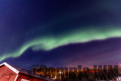 Nordlicht
auf der suche nach dem Polarlicht Aurora Borealis
Schlüsselwörter: Nordland;Norwegen;Schweden;Dänemark;Aurora Borealis;Trondheim;Tromsö;Umea;Mo I Rana;Polarkreis;Arctic Circle;Nordkap: Bergen