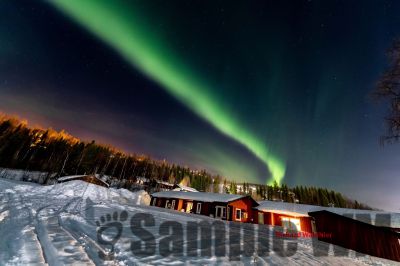 Nordlicht
auf der suche nach dem Polarlicht Aurora Borealis
Schlüsselwörter: Nordland;Norwegen;Schweden;Dänemark;Aurora Borealis;Trondheim;Tromsö;Umea;Mo I Rana;Polarkreis;Arctic Circle;Nordkap: Bergen