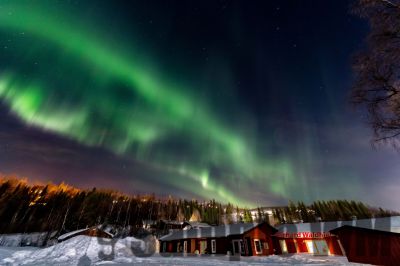 Nordlicht
auf der suche nach dem Polarlicht Aurora Borealis
Schlüsselwörter: Nordland;Norwegen;Schweden;Dänemark;Aurora Borealis;Trondheim;Tromsö;Umea;Mo I Rana;Polarkreis;Arctic Circle;Nordkap: Bergen