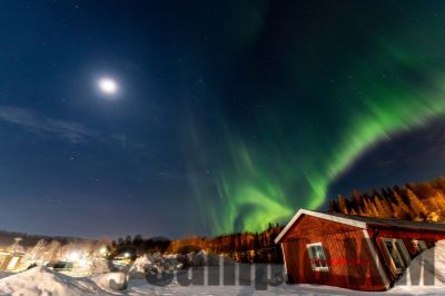 Nordlicht
auf der suche nach dem Polarlicht Aurora Borealis
Schlüsselwörter: Nordland;Norwegen;Schweden;Dänemark;Aurora Borealis;Trondheim;Tromsö;Umea;Mo I Rana;Polarkreis;Arctic Circle;Nordkap: Bergen