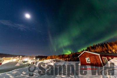 Nordlicht
auf der suche nach dem Polarlicht Aurora Borealis
Schlüsselwörter: Nordland;Norwegen;Schweden;Dänemark;Aurora Borealis;Trondheim;Tromsö;Umea;Mo I Rana;Polarkreis;Arctic Circle;Nordkap: Bergen