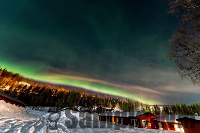 Nordlicht
auf der suche nach dem Polarlicht Aurora Borealis
Schlüsselwörter: Nordland;Norwegen;Schweden;Dänemark;Aurora Borealis;Trondheim;Tromsö;Umea;Mo I Rana;Polarkreis;Arctic Circle;Nordkap: Bergen