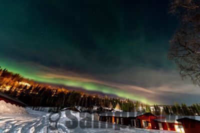 Nordlicht
auf der suche nach dem Polarlicht Aurora Borealis
Schlüsselwörter: Nordland;Norwegen;Schweden;Dänemark;Aurora Borealis;Trondheim;Tromsö;Umea;Mo I Rana;Polarkreis;Arctic Circle;Nordkap: Bergen